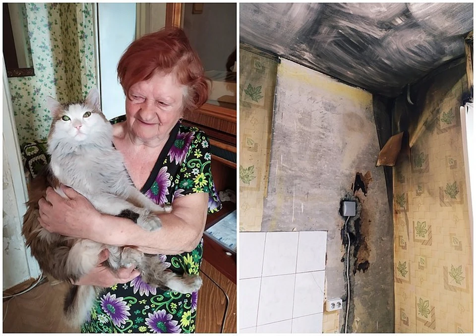 Кот Леша спас хозяйку и ее квартиру. Фото: Эвелина Корниенко/vk.com