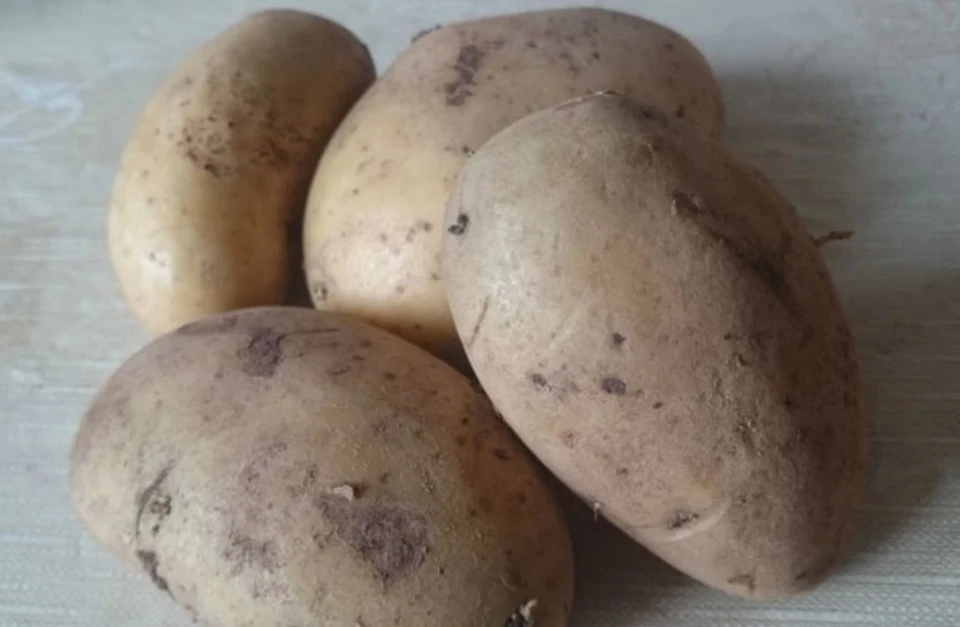 Юрист опроверг миф о штрафах за выращивание картошки