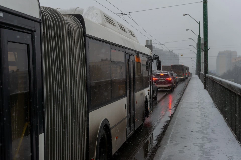 Фото: Олег ЗОЛОТО