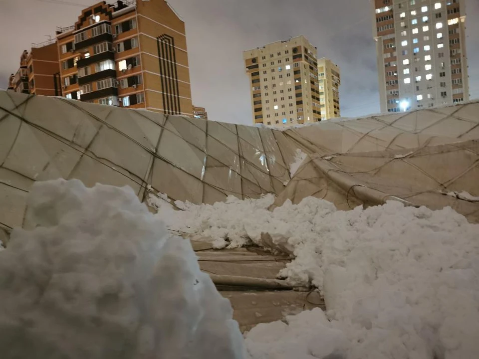 Фото: СУ СК по Краснодарскому краю.