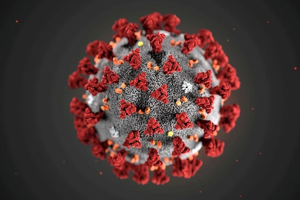 Лучший способ способ остановить мутации коронавируса – справиться с пандемией