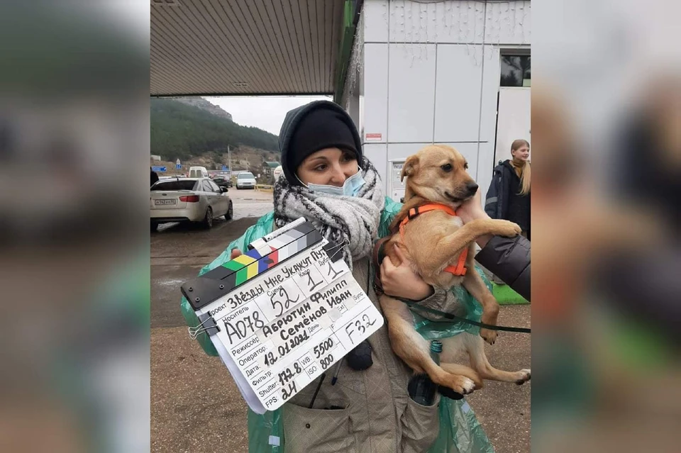 Судьба привела рыжего щенка из приюта прямо на съемочную площадку