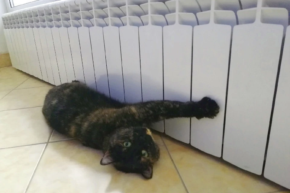 Система отопления не выдерживает морозов и хищения воды