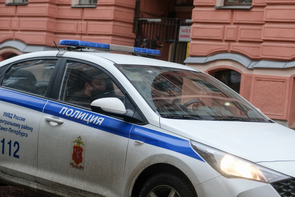 Полиция задержала участника перестрелки в деревне Ленобласти