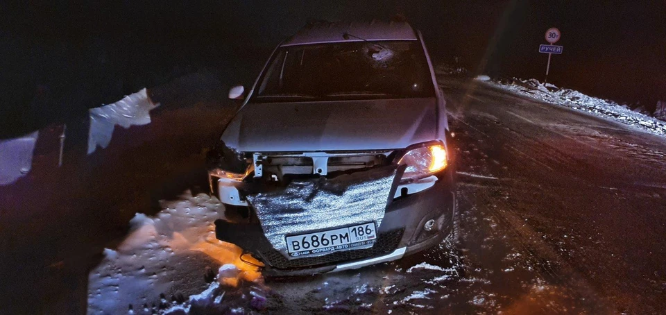 Фото: Госавтоинспекция Ямала