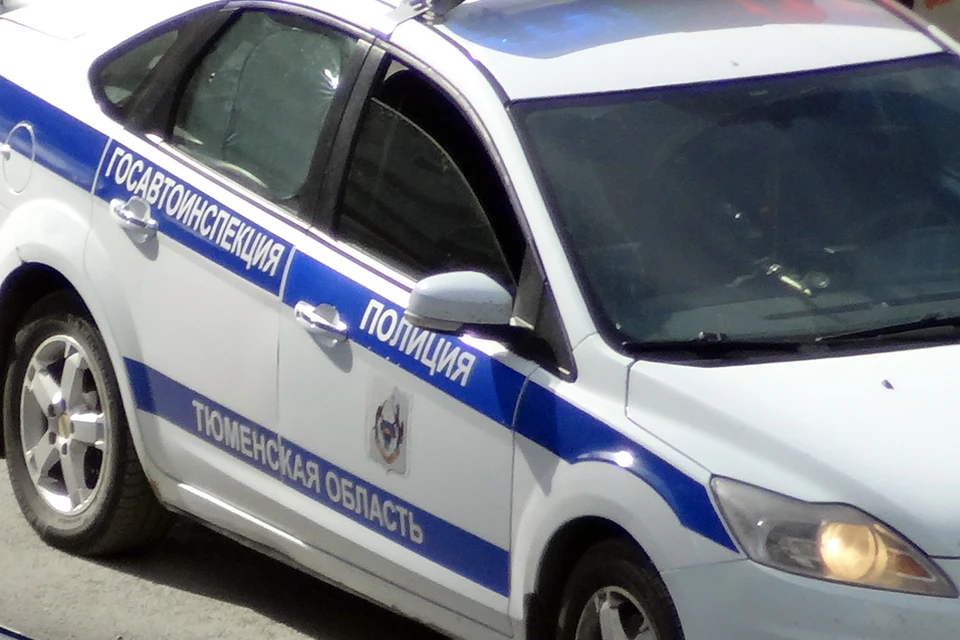 В Тюменской области расследуют убийство косули.