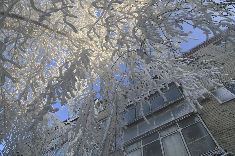 Сибирские морозы продержатся в Нижнем Новгороде до 12 февраля.