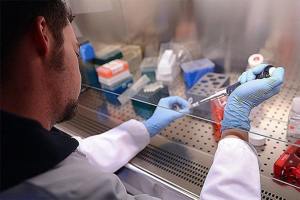 Не менее 15 пожилых людей умерли после прививки от коронавируса в Нидерландах