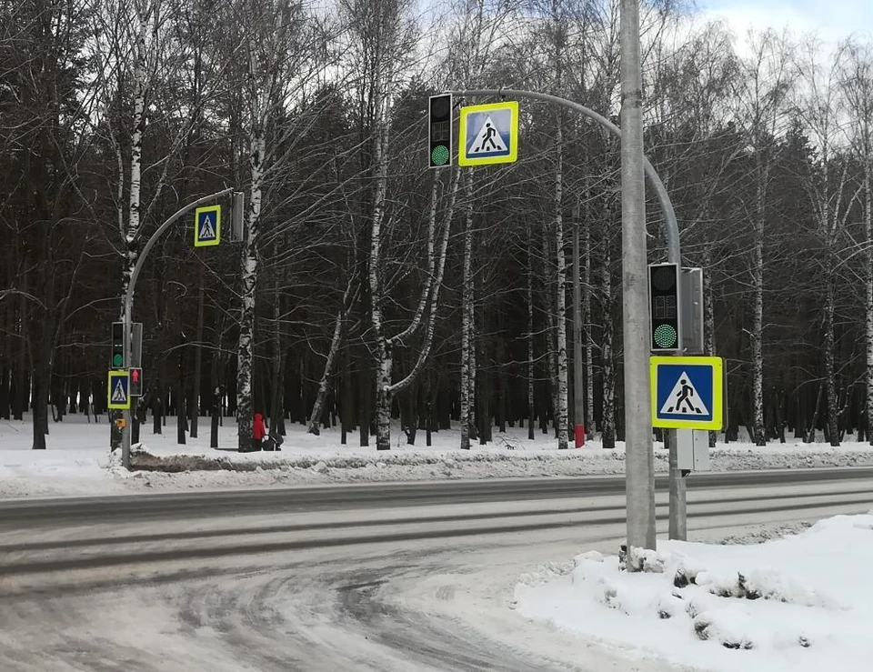 Фото: прокуратура Владимирской области
