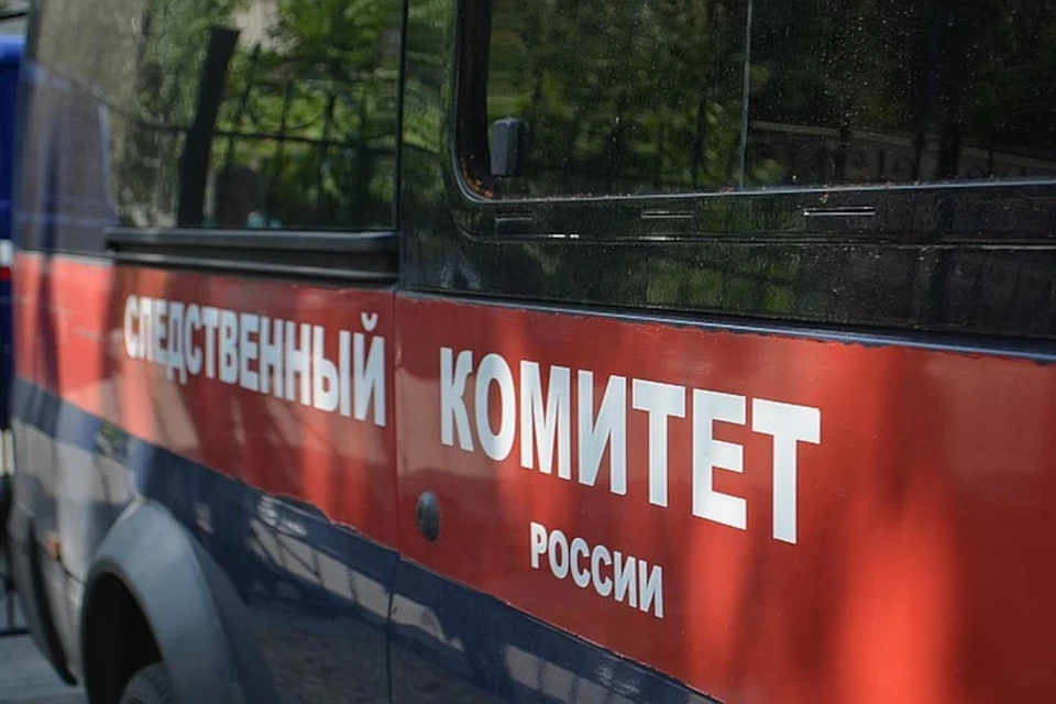 В Тверской области следователи проводят проверку по факту гибели 86-летней женщины на пожаре в Кимрском районе.
