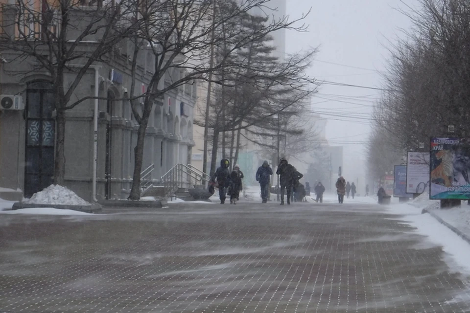 Снежный циклон в Хабаровском крае 16 февраля 2021 года: нарушения энергоснабжения, отмены рейсов, перекрытие дорог