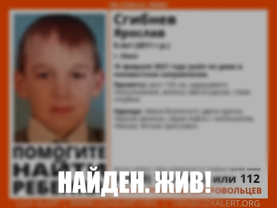 Малыша нашли и вернули матери. Фото: ПСО "ЛизаАлерт"