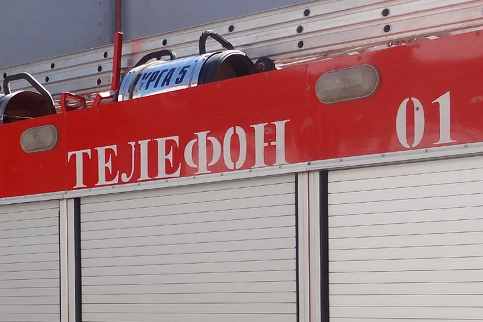 Под Тюменью сгорели 187 свиней и коз.