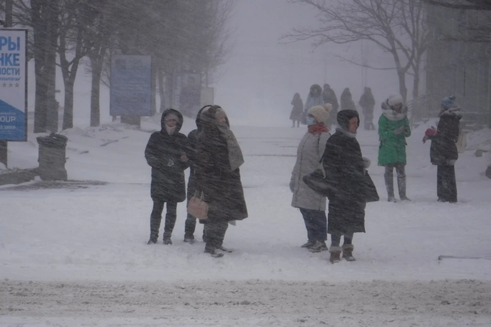 Как выглядит Хабаровск после снегопада 16 февраля 2021 года: машины в снегах, деревья повалены