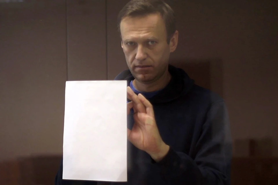 Если коротко, то в судьбе Алексея Навального не меняется ничего, за исключением того, что кошелек оппозиционера «похудеет» на 950 тысяч рублей. Фото: Пресс-служба Бабушкинского суда/ТАСС