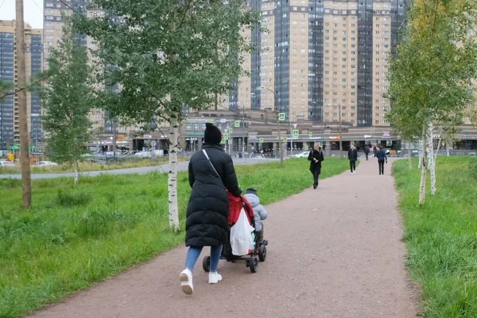В погоне за материнским капиталом петербурженка получила уголовное дело.