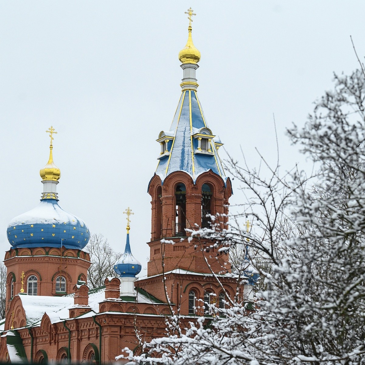 Храм Александра Невского Псков Фото