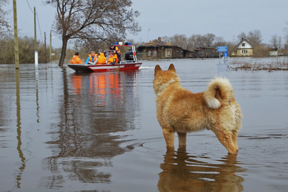 В этом году ожидают подъем воды не ниже уровня 2018 года.