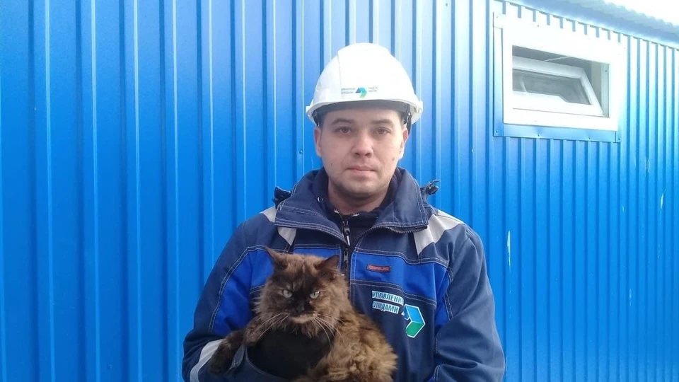 Кошку нашли среди мусора. Фото Регионального оператора