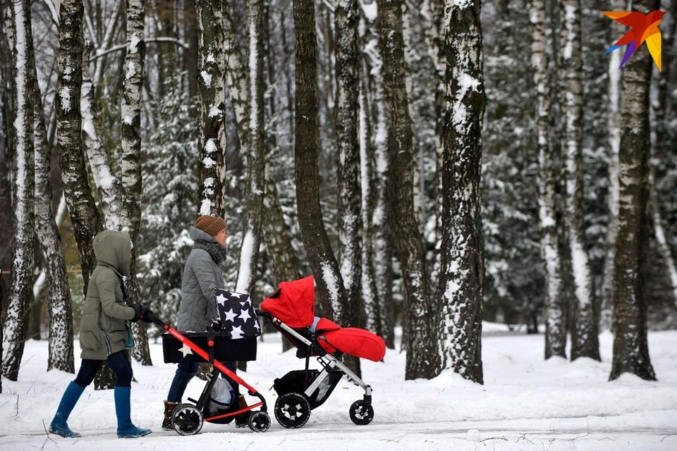 По данным переписи населения 2019 года в Беларуси проживает 1 миллион 227 тысяч домохозяйств с детьми до 18 лет.