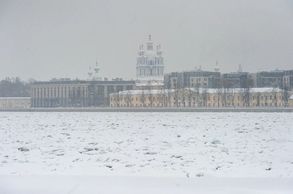 В Петербург опять пришел снег.