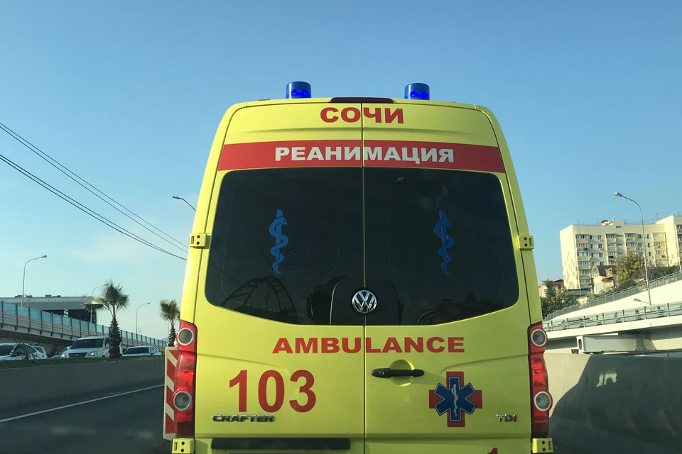 Школьник рассказал, что свора собак набросилась на него на улице Донской
