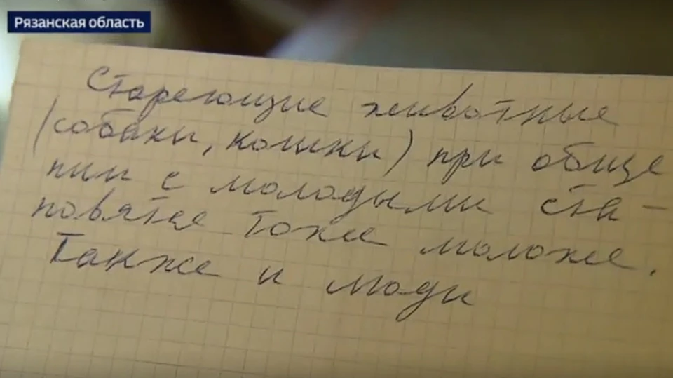 Кадр из эфира телеканала «Россия 24».
