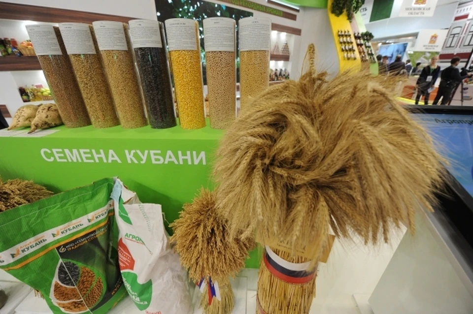 Фото: архив КП