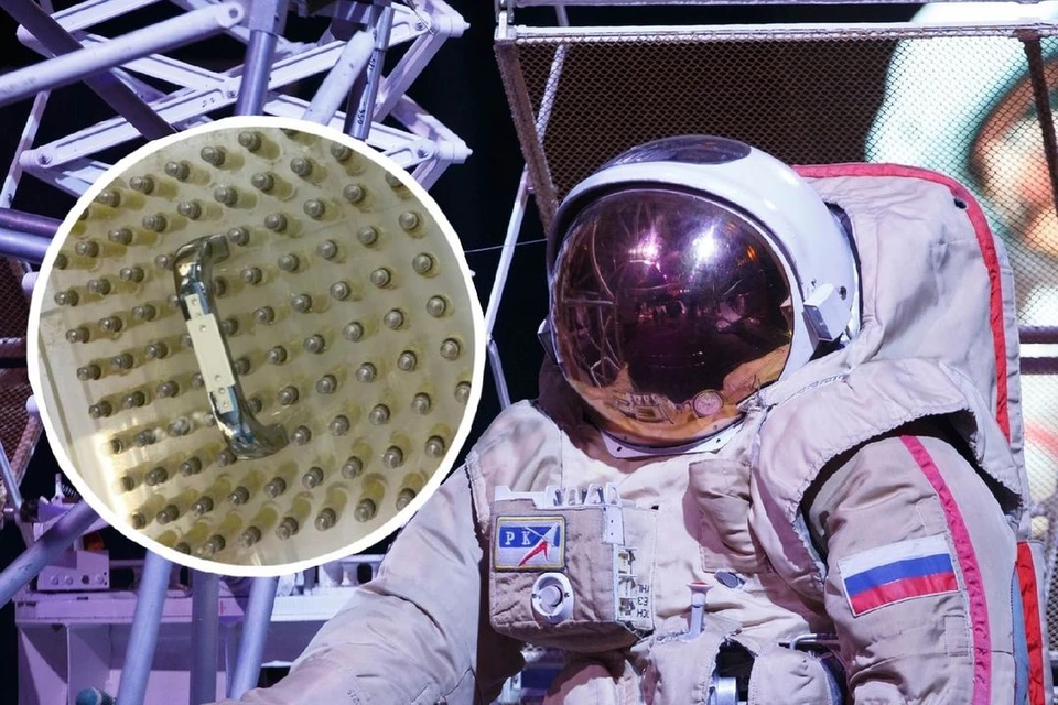 Новую добавку к еде для космонавтов сначала испытают грызуны.