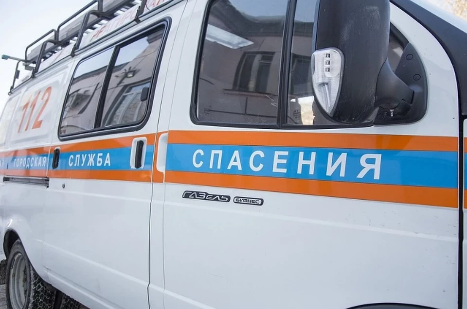 Чтобы вытащить голубя из вентиляции, пермяки вызвали спасателей.