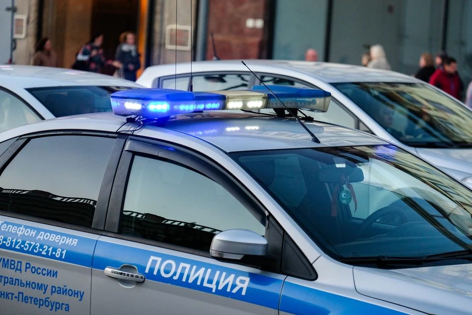 Полиция Петербурга задержала водителя, напавшего на пассажира в Купчино.