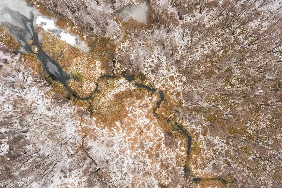 Фото с сайта Воронежского заповедника