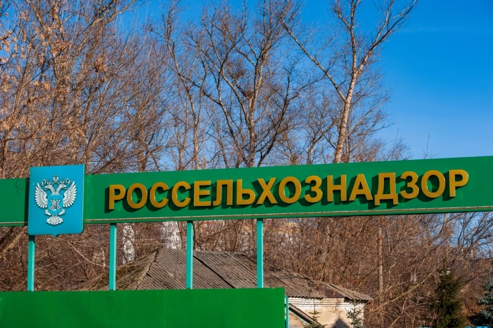 В Орловской области владельцев земельного участка заставят убрать свалку