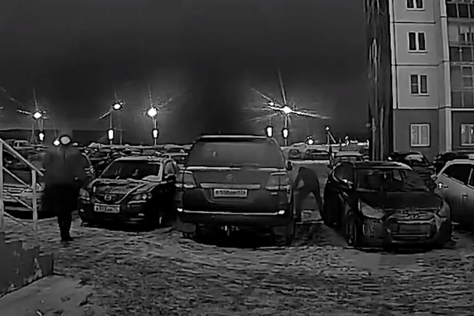 Фото: камера домофона "Интерсвязь"