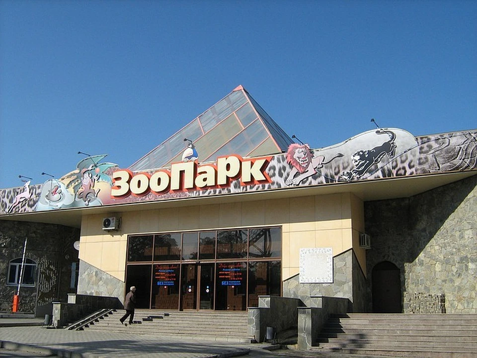 Возможные кадровые перестановки лихорадят челябинский зоопарк. Фото: chelzoo.ru