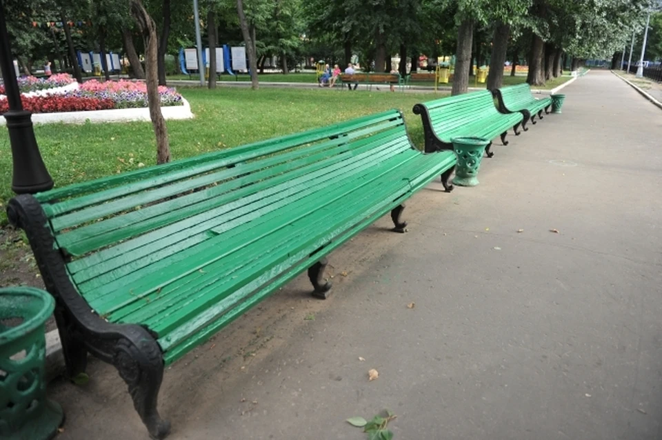 В Ростове ищут подрядчика для содержания пешеходной зоны на улице Большой Садовой