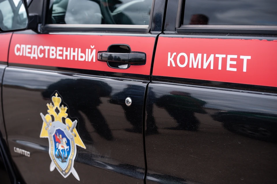 СК возбудил дело об убийстве матерью новорожденного сына