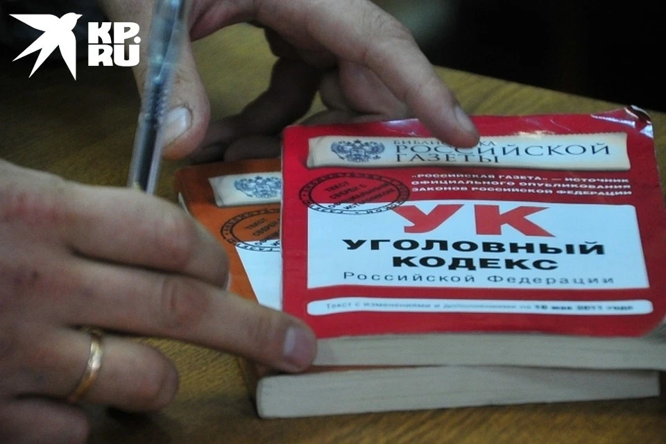 Уголовное дело было заведено по ч. 4 ст. 160 УК РФ «Присвоение или растрата» и ч. 4 ст. 159 УК РФ «Мошенничество».