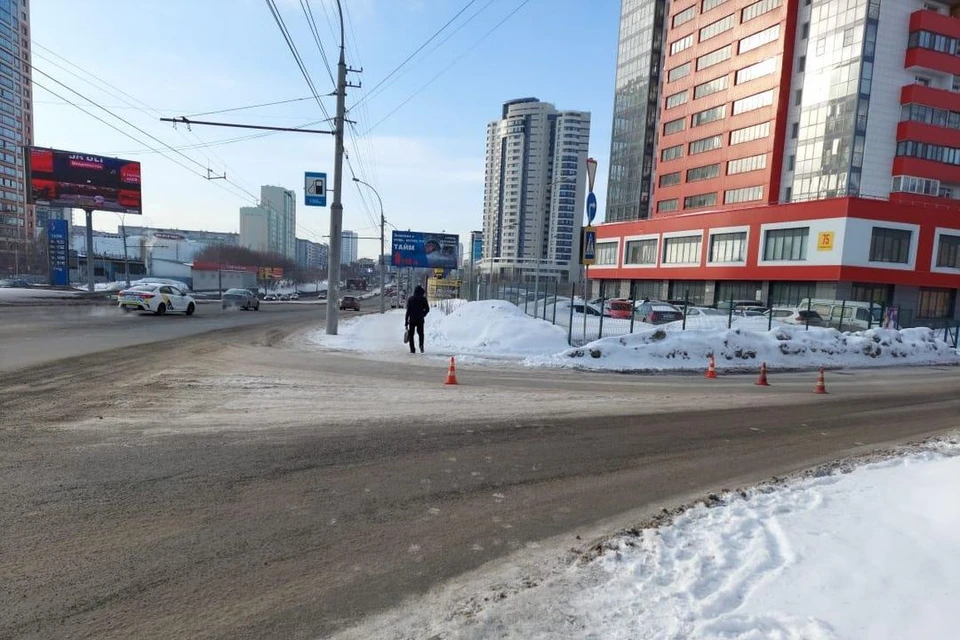 В Новосибирске ищут водителя, сбившего 18-летнюю девушку на пешеходном переходе. Фото: Госавтоинспекция по Новосибирску