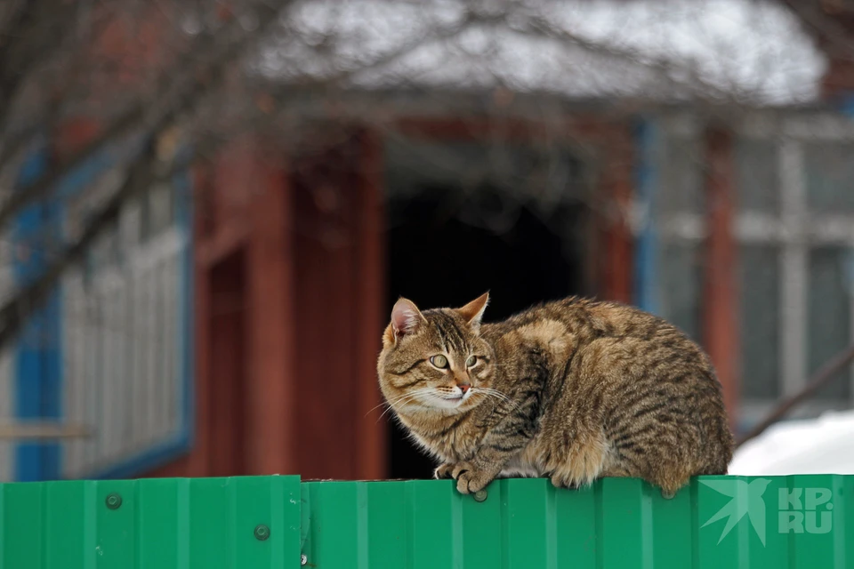 В шести районах Рязанской области 1 апреля отключат электричество.