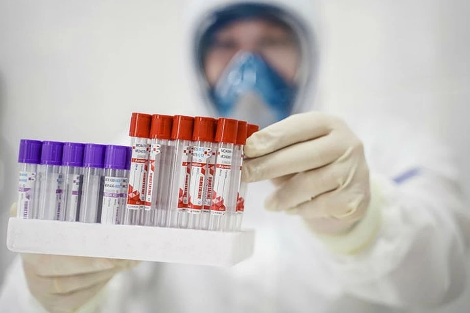 В Госдуме попросили обеспечить все больницы экспресс-тестами на инфекционные болезни