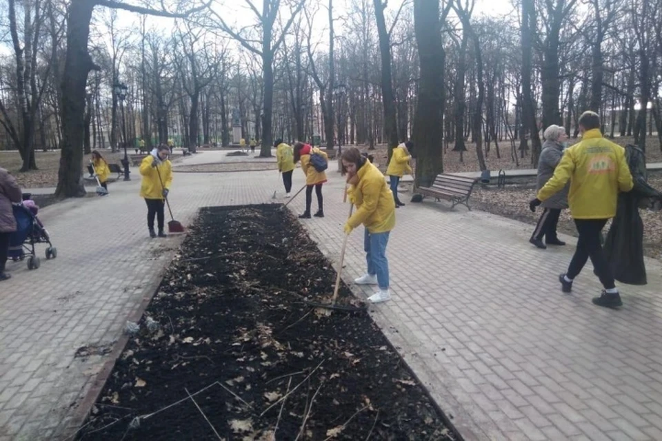 Городские порядки. Субботник на улице. Парк сказок Брянск. Молодежь на улице. Популярные лесопарки.