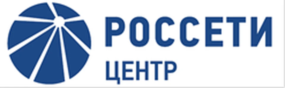 Фото: филиал «Россети Центр Брянскэнерго».