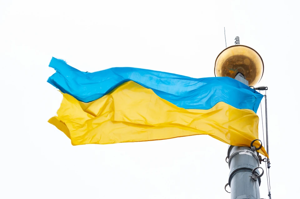 В ФРГ оценили перспективы по вступлению Украины в НАТО