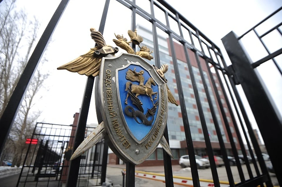 Потерпевшей была причинена закрытая черепно-мозговая травма