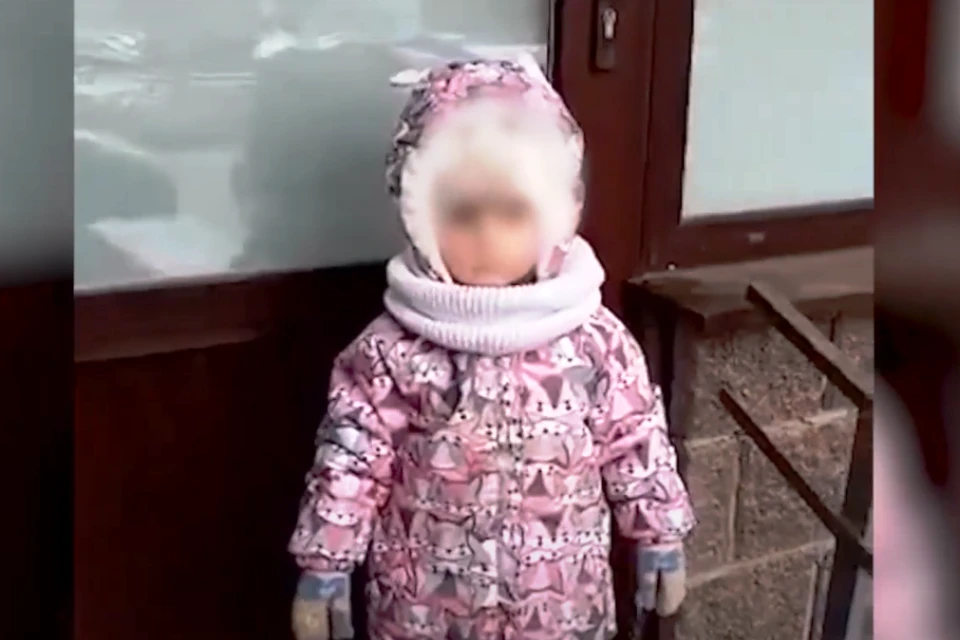 Фото: кадр из видеозаписи прохожей Светланы