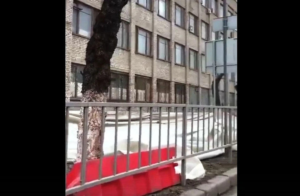 Фото - скрин с видео очевидцев происшествия.