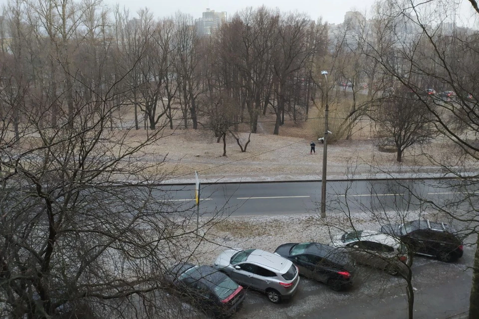 В середине весны в Петербург заглянули отголоски настоящей зимы.
