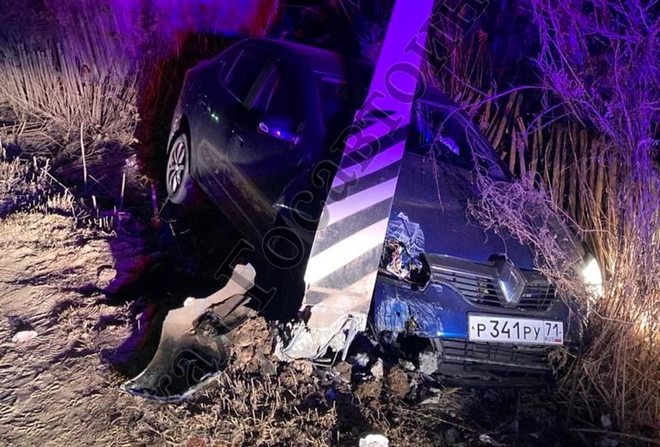 В Тульской области 17-летний парень на Renault врезался в ЛЭП