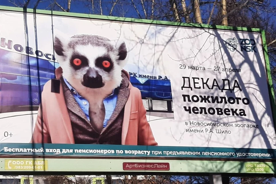 Лемур Катта в розовом пальто рекламирует зоопарк. Фото: Татьяна Косачева.